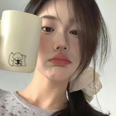 模型姐妹